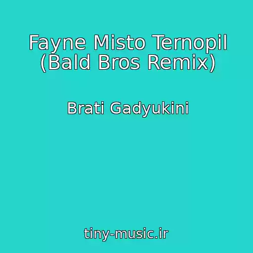 کاور آهنگ Fayne Mіsto Ternopіl (Bald Bros Remix) از Brati Gadyukіni