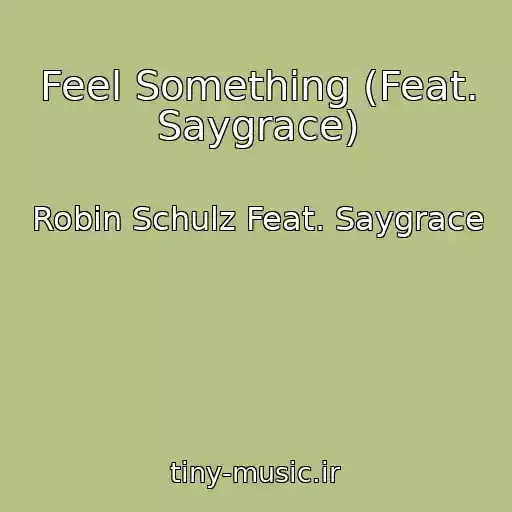کاور آهنگ Feel Something (Feat. Saygrace) از Robin Schulz Feat. Saygrace