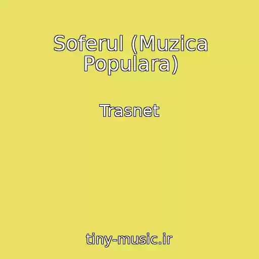 کاور آهنگ Soferul (Muzica Populara) از Trasnet
