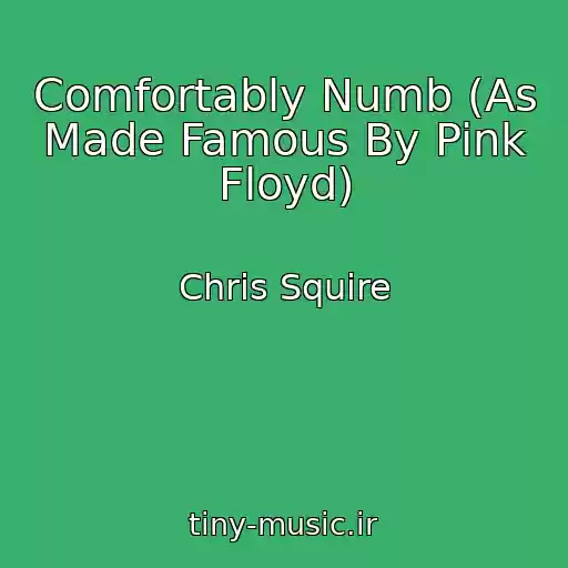 کاور آهنگ Comfortably Numb (As Made Famous By Pink Floyd) از Chris Squire