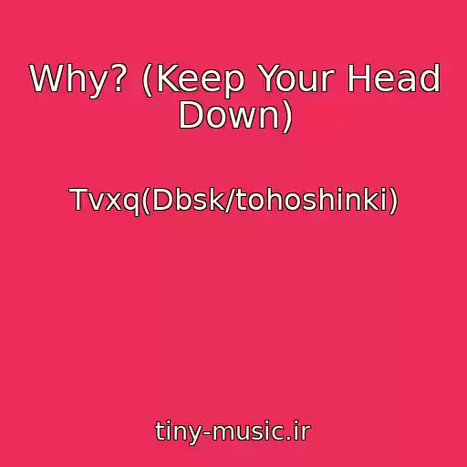 کاور آهنگ Why? (Keep Your Head Down) از Tvxq(Dbsk/tohoshinki)