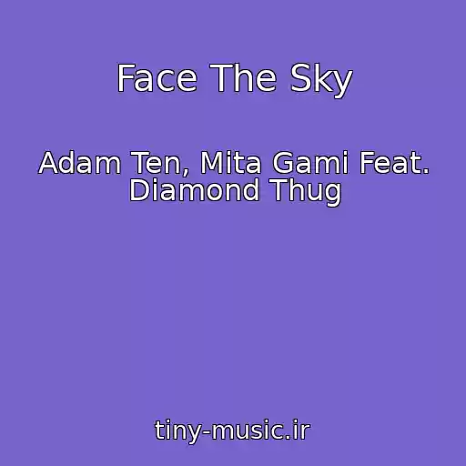 کاور آهنگ Face The Sky از Adam Ten, Mita Gami Feat. Diamond Thug