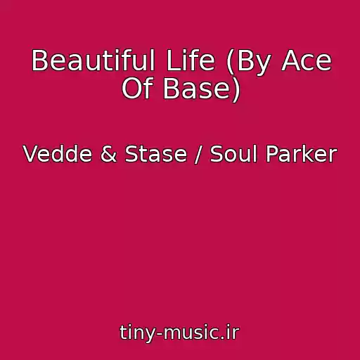 کاور آهنگ Beautiful Life (By Ace Of Base) از Vedde & Stase / Soul Parker