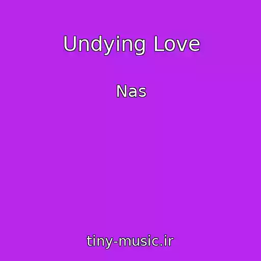 کاور آهنگ Undying Love از Nas