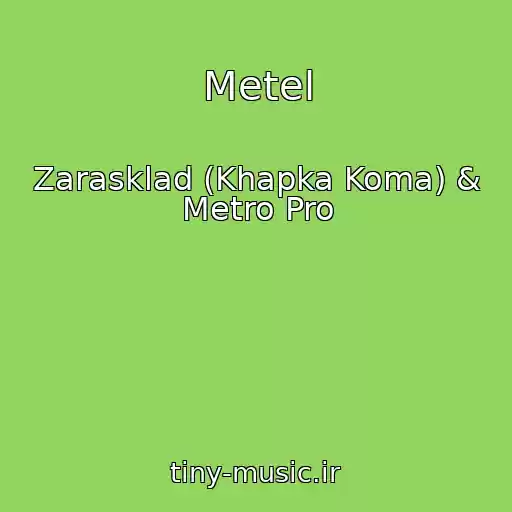 کاور آهنگ Metel از Zarasklad (Khapka Koma) & Metro Pro
