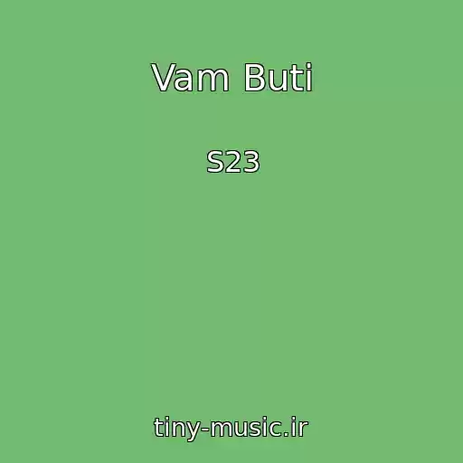 کاور آهنگ Vam Buti از S23