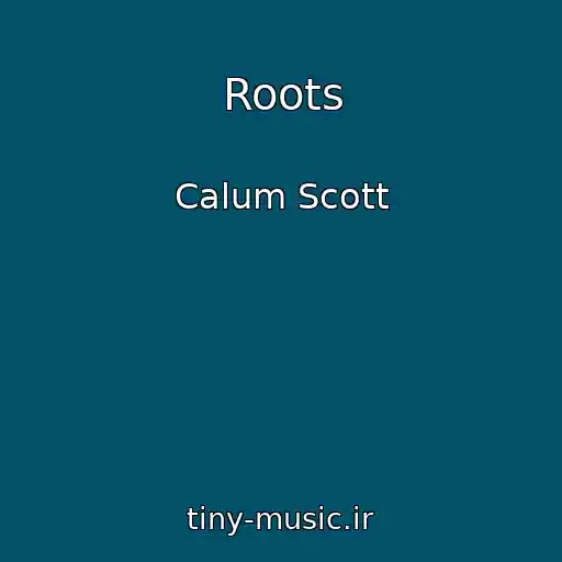 کاور آهنگ Roots از Calum Scott