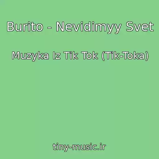 کاور آهنگ Burito - Nevidimyy Svet از Muzyka Iz Tik Tok (Tik-Toka)