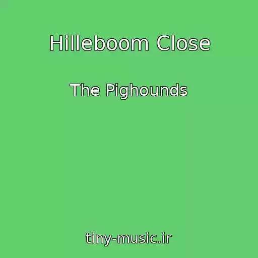کاور آهنگ Hilleboom Close از The Pighounds