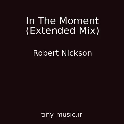 کاور آهنگ In The Moment (Extended Mix) از Robert Nickson