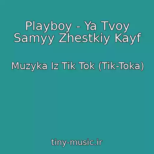 کاور آهنگ Playboy - Ya Tvoy Samyy Zhestkiy Kayf از Muzyka Iz Tik Tok (Tik-Toka)