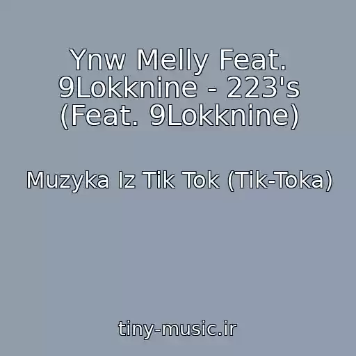 کاور آهنگ Ynw Melly Feat. 9Lokknine - 223's (Feat. 9Lokknine) از Muzyka Iz Tik Tok (Tik-Toka)