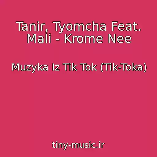 کاور آهنگ Tanir, Tyomcha Feat. Mali - Krome Nee از Muzyka Iz Tik Tok (Tik-Toka)