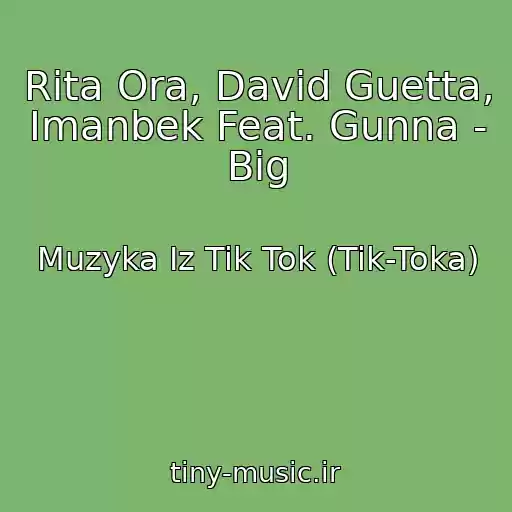 کاور آهنگ Rita Ora, David Guetta, Imanbek Feat. Gunna - Big از Muzyka Iz Tik Tok (Tik-Toka)