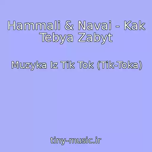کاور آهنگ Hammali & Navai - Kak Tebya Zabyt از Muzyka Iz Tik Tok (Tik-Toka)