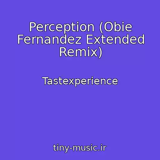 کاور آهنگ Perception (Obie Fernandez Extended Remix) از Tastexperience