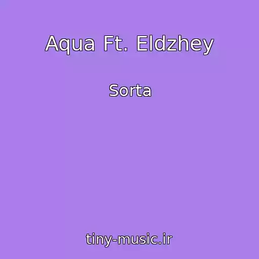کاور آهنگ Aqua Ft. Eldzhey از Sorta