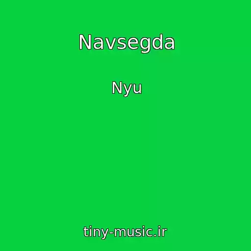 کاور آهنگ Navsegda از Nyu