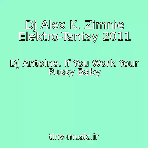 کاور آهنگ Dj Alex K. Zimnie Elektro-Tantsy 2011 از Dj Antoine. If You Work Your Pussy Baby