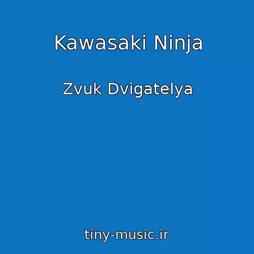 کاور آهنگ Kawasaki Ninja از Zvuk Dvigatelya