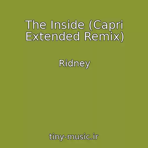 کاور آهنگ The Inside (Capri Extended Remix) از Ridney
