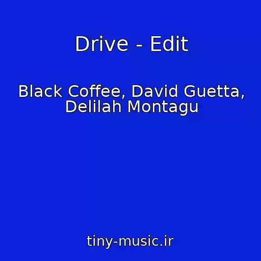 کاور آهنگ Drive - Edit از Black Coffee, David Guetta, Delilah Montagu