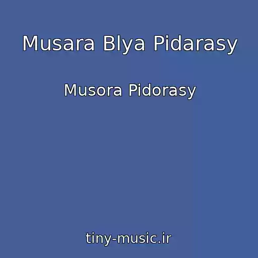 کاور آهنگ Musara Blya Pidarasy از Musora Pidorasy
