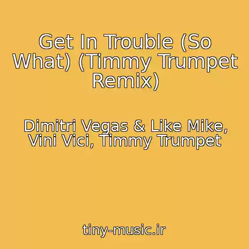 کاور آهنگ Get In Trouble (So What) (Timmy Trumpet Remix) از Dimitri Vegas & Like Mike, Vini Vici, Timmy Trumpet