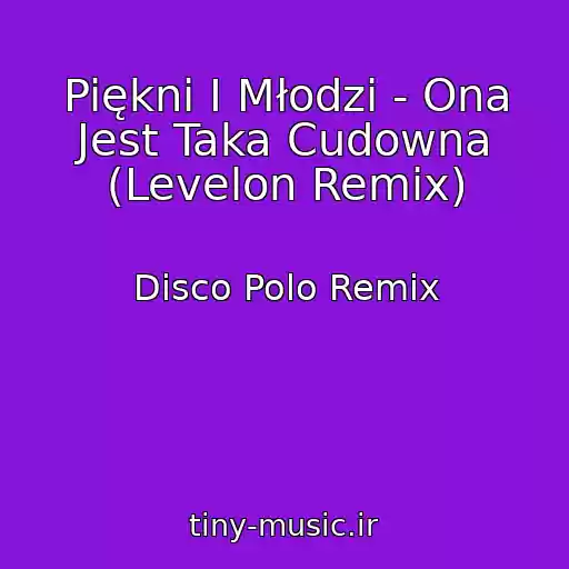 کاور آهنگ Piękni I Młodzi - Ona Jest Taka Cudowna (Levelon Remix) از Disco Polo Remix