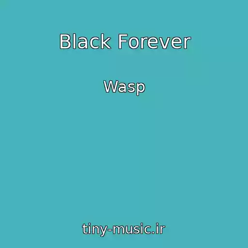 کاور آهنگ Black Forever از Wasp