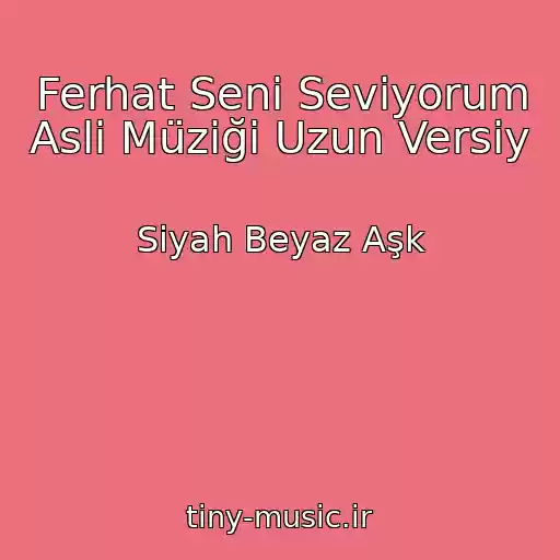 کاور آهنگ Ferhat Seni Seviyorum Asli Müziği Uzun Versiy از Siyah Beyaz Aşk