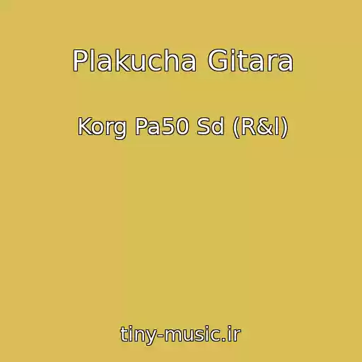 کاور آهنگ Plakucha Gіtara از Korg Pa50 Sd (R&l)