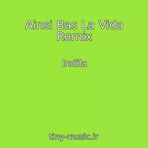 کاور آهنگ Ainsi Bas La Vida Remix از Indila