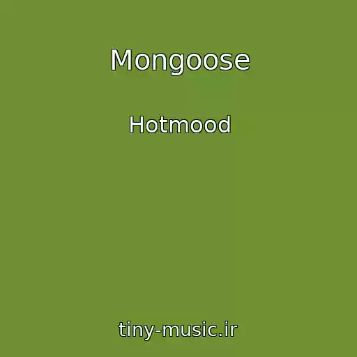 کاور آهنگ Mongoose از Hotmood