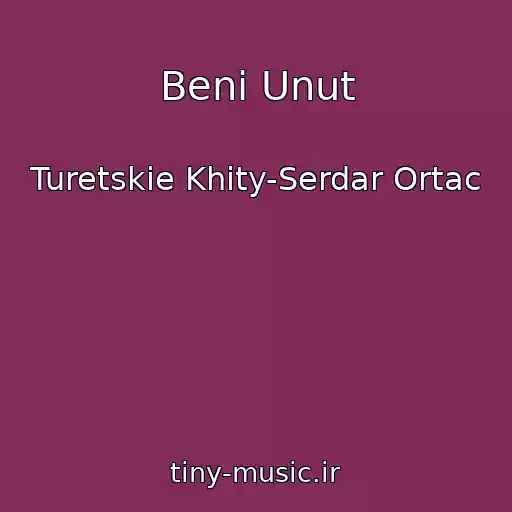 کاور آهنگ Beni Unut از Turetskie Khity-Serdar Ortac