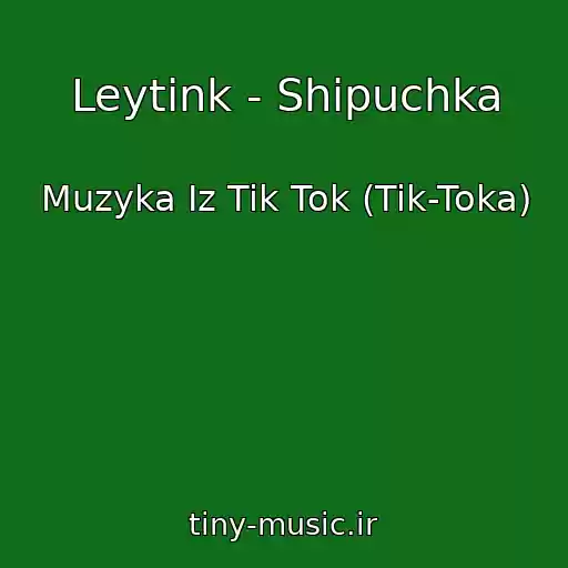 کاور آهنگ Leytink - Shipuchka از Muzyka Iz Tik Tok (Tik-Toka)