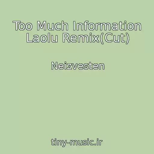 کاور آهنگ Too Much Information Laolu Remix(Cut) از Neizvesten