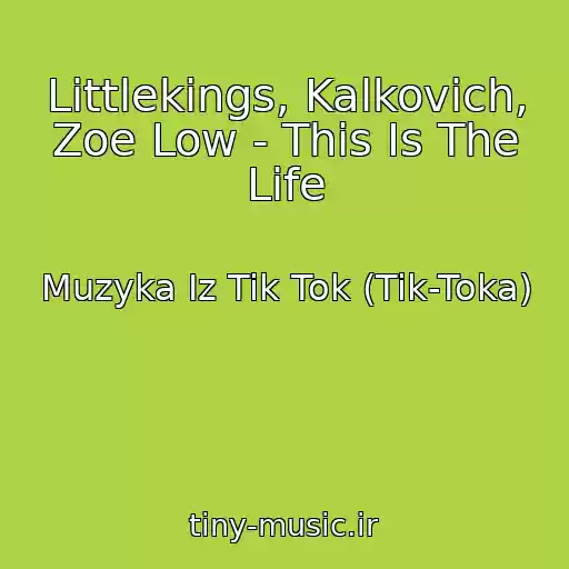 کاور آهنگ Littlekings, Kalkovich, Zoe Low - This Is The Life از Muzyka Iz Tik Tok (Tik-Toka)