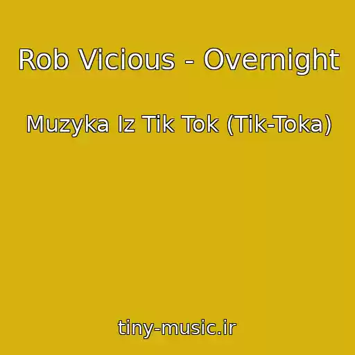 کاور آهنگ Rob Vicious - Overnight از Muzyka Iz Tik Tok (Tik-Toka)