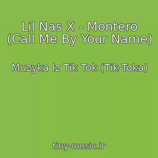 کاور آهنگ Lil Nas X - Montero (Call Me By Your Name) از Muzyka Iz Tik Tok (Tik-Toka)