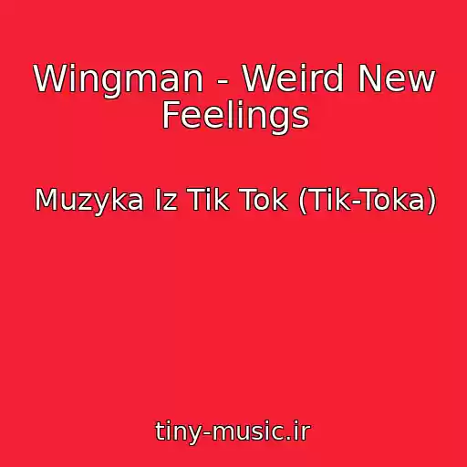 کاور آهنگ Wingman - Weird New Feelings از Muzyka Iz Tik Tok (Tik-Toka)