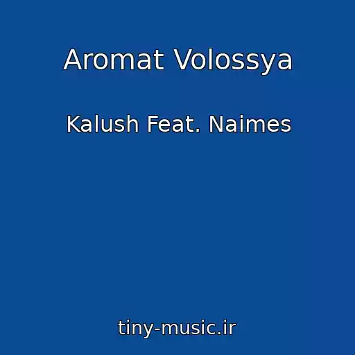 کاور آهنگ Aromat Volossya از Kalush Feat. Naimes