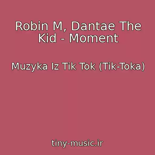 کاور آهنگ Robin M, Dantae The Kid - Moment از Muzyka Iz Tik Tok (Tik-Toka)