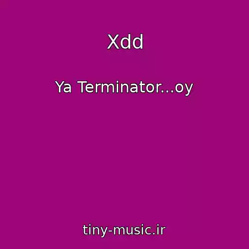 کاور آهنگ Xdd از Ya Terminator...oy