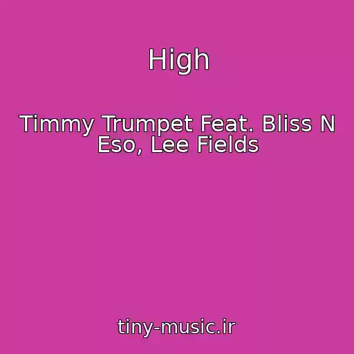 کاور آهنگ High از Timmy Trumpet Feat. Bliss N Eso, Lee Fields