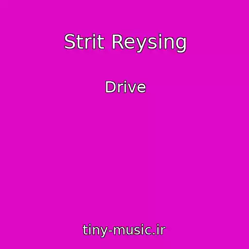 کاور آهنگ Strit Reysing از Drive
