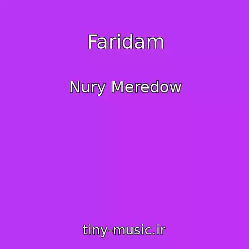 کاور آهنگ Faridam از Nury Meredow