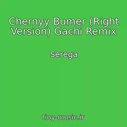 کاور آهنگ Chernyy Bumer (Right Version) Gachi Remix از Serega