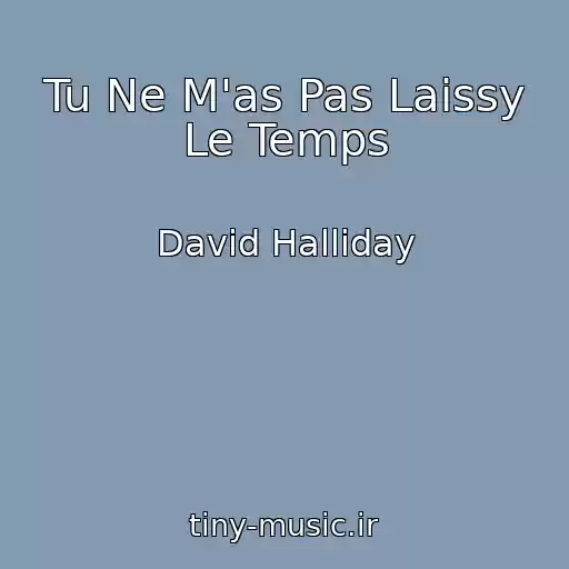 کاور آهنگ Tu Ne M'as Pas Laissy Le Temps از David Halliday