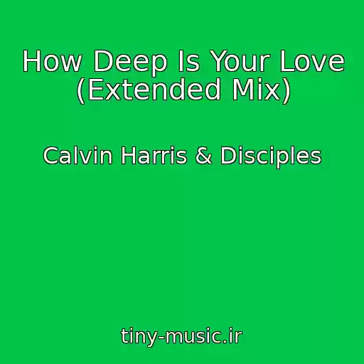 کاور آهنگ How Deep Is Your Love (Extended Mix) از Calvin Harris & Disciples